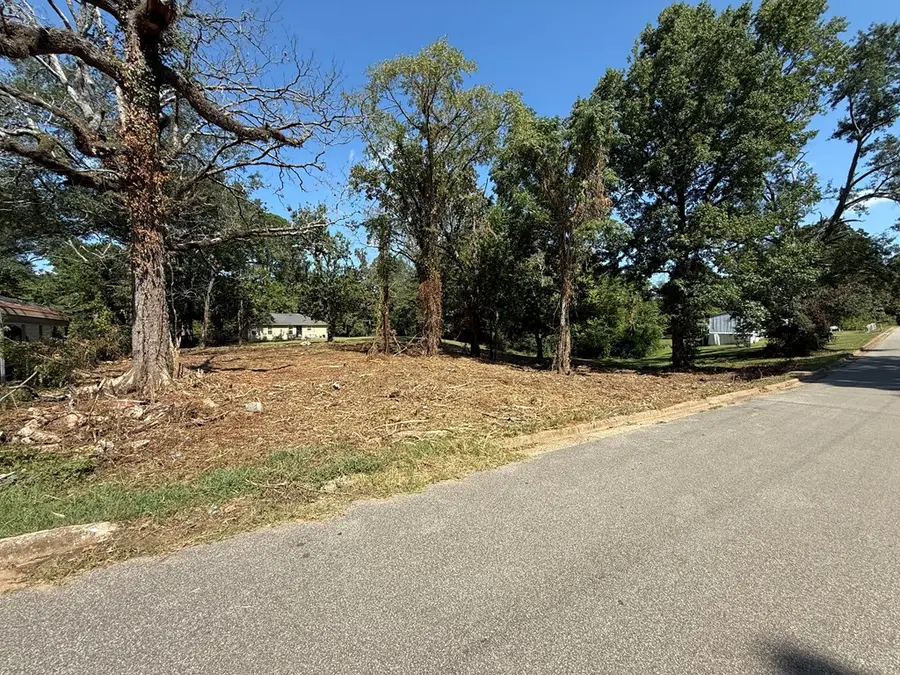 1213 Bolton Street, Center, TX 75935 - #3