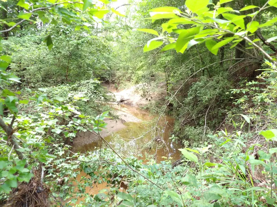 PARCEL #7943 Fm 536, Kennard, TX 75847 - #3