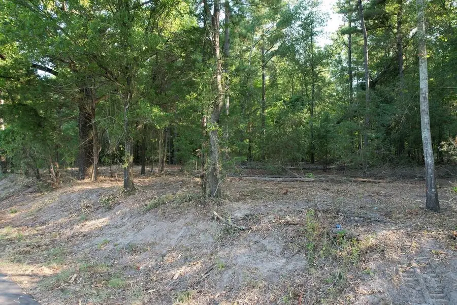 PARCEL#16189 Acr 1220, Grapeland, TX 75844 - #2