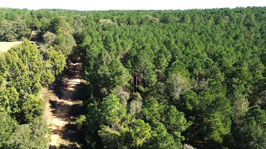 PARCEL#11405 Cr 2265, Grapeland, TX 75844 - #2