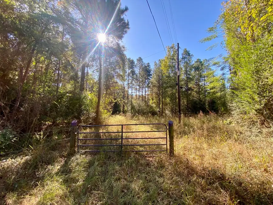 PARCEL#11405 Cr 2265, Grapeland, TX 75844 - #3