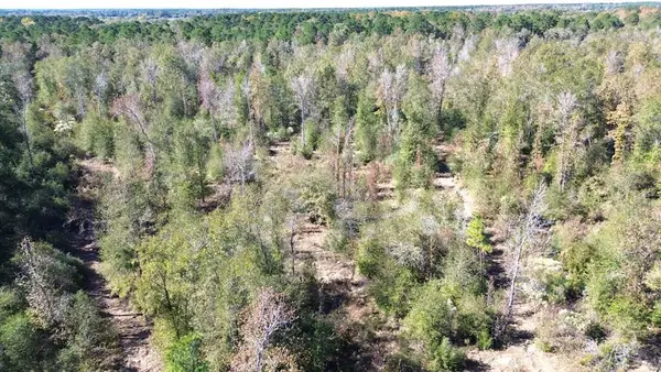 PARCEL #6333 Fm 1280e, Lovelady, TX 75851
