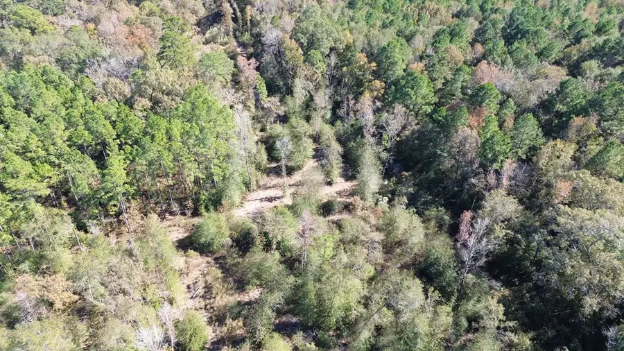 PARCEL #6333 Fm 1280e, Lovelady, TX 75851 - #3