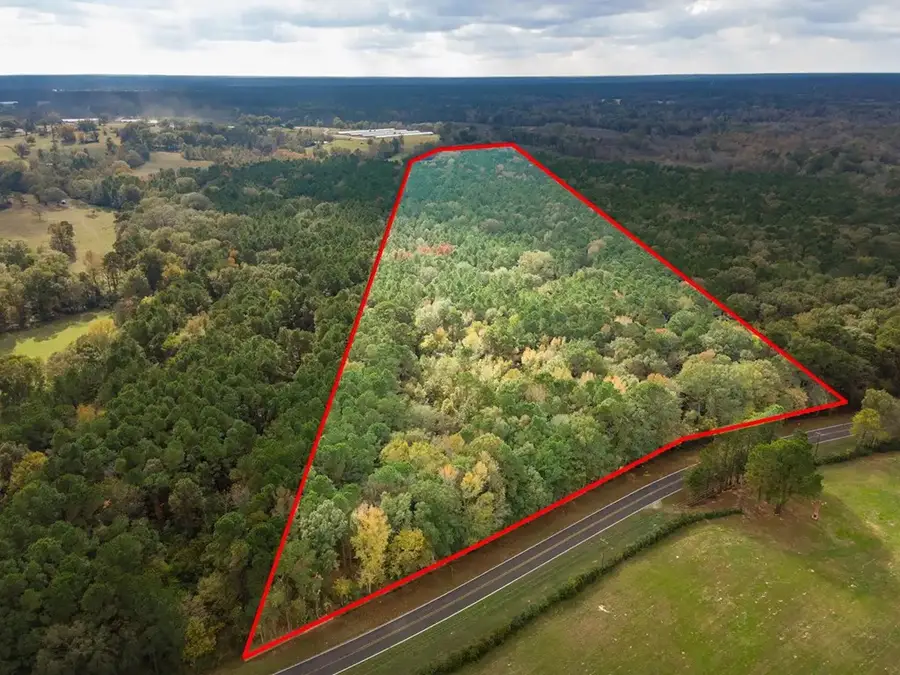 Parcel #636264 Fm 3172, Shelbyville, TX 75973 - #2