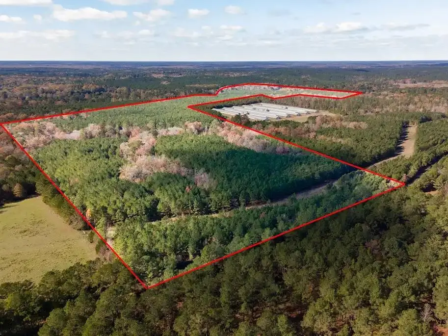 PID # 2721 Cr 3100, San Augustine, TX 75972 - #1