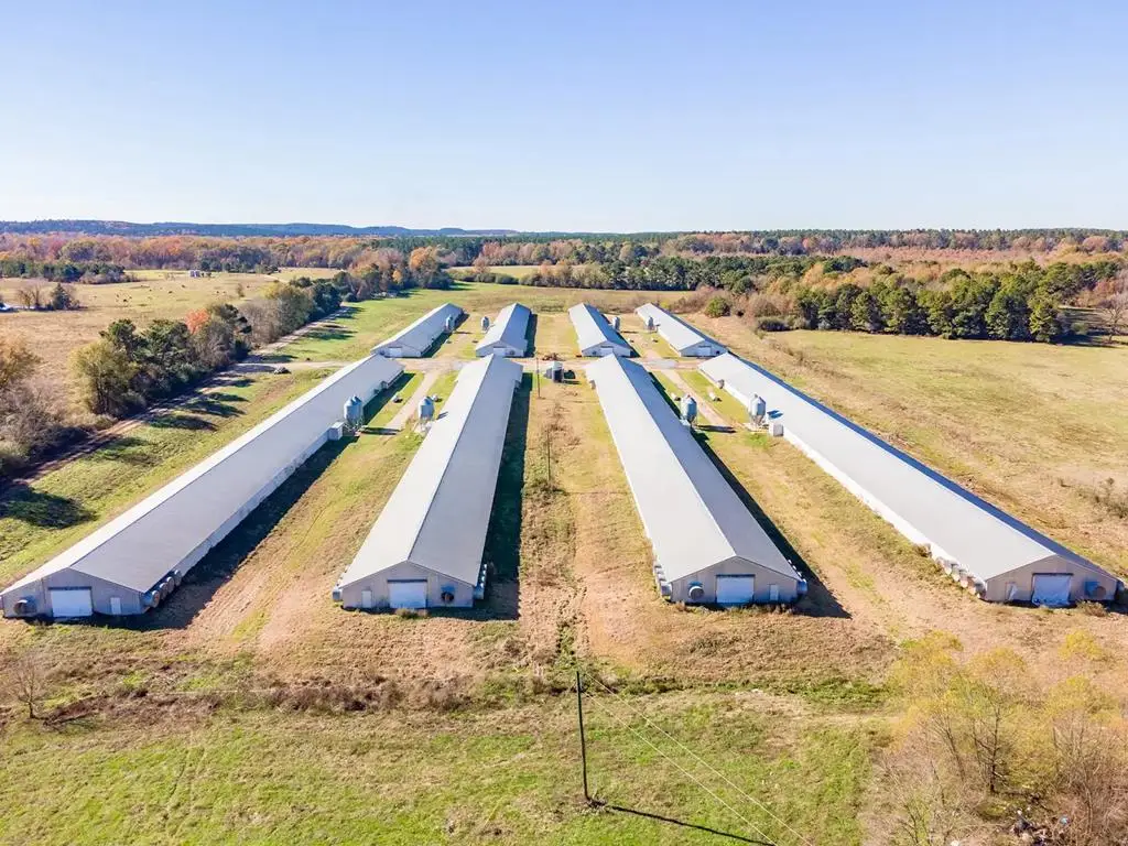 19644 Hwy 87s, San Augustine, TX 75972 - #1
