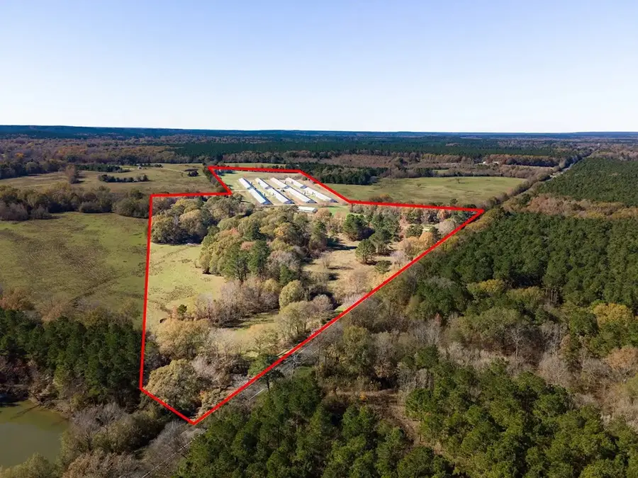 19644 Hwy 87s, San Augustine, TX 75972 - #3