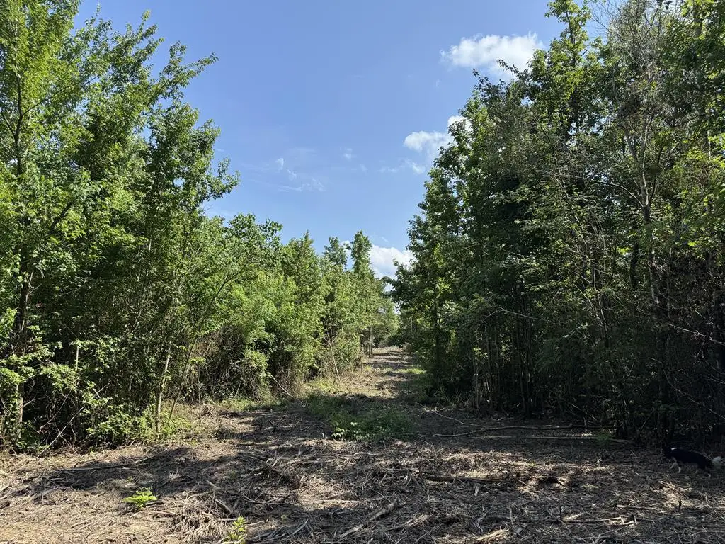 PIN 636351A Cr 4855, Timpson, TX 75975 - #1