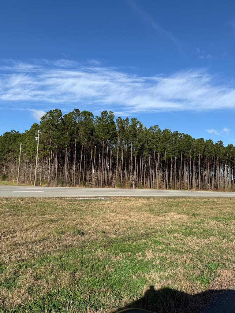 28602 Hwy 69s, Zavalla, TX 75980 - #1