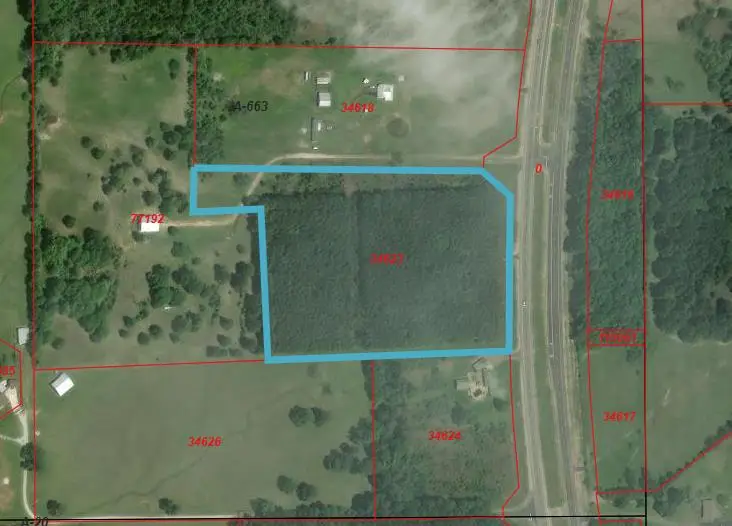 28602 Hwy 69s, Zavalla, TX 75980 - #2