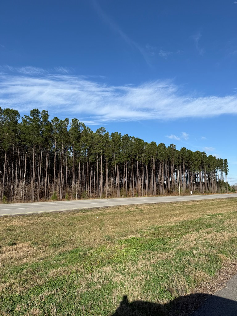 28602 Hwy 69s, Zavalla, TX 75980 - #3