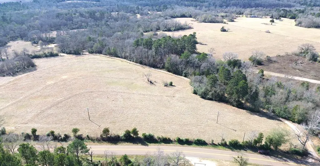 PARCEL #14637 Fm 1272, Grapeland, TX 75844 - #1