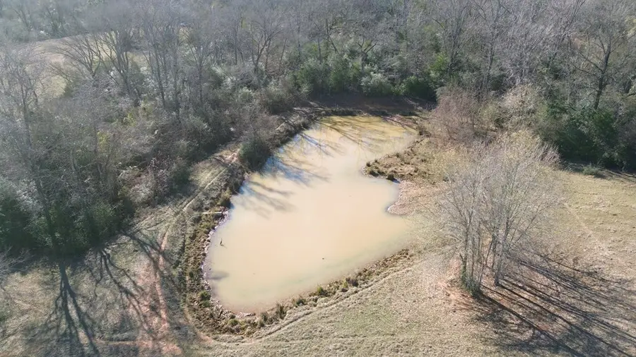 PARCEL #14637 Fm 1272, Grapeland, TX 75844 - #3