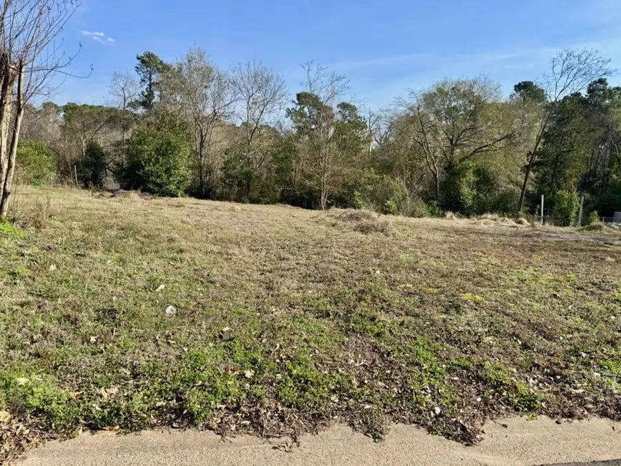 207 Muckleroy Street, Nacogdoches, TX 75961 - #3