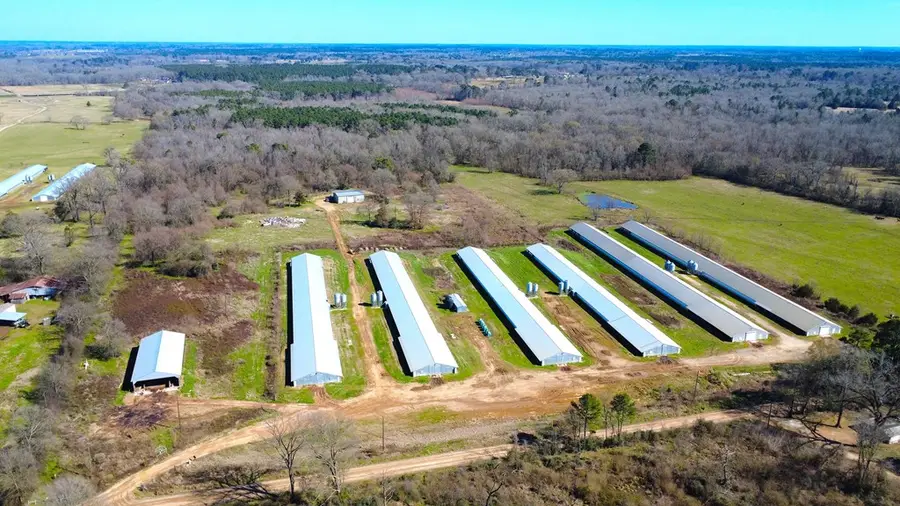 2550 Cr 4293, Center, TX 75935 - #3