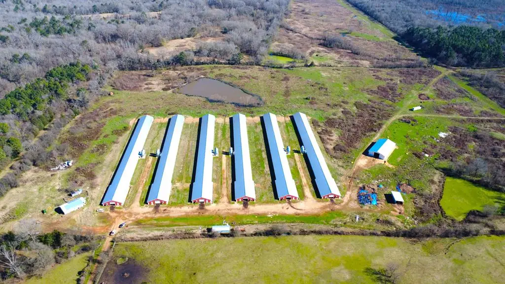 PID # 632969 Cr 3085, Center, TX 75935 - #1