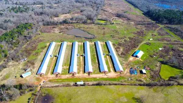 PID # 632969 Cr 3085, Center, TX 75935