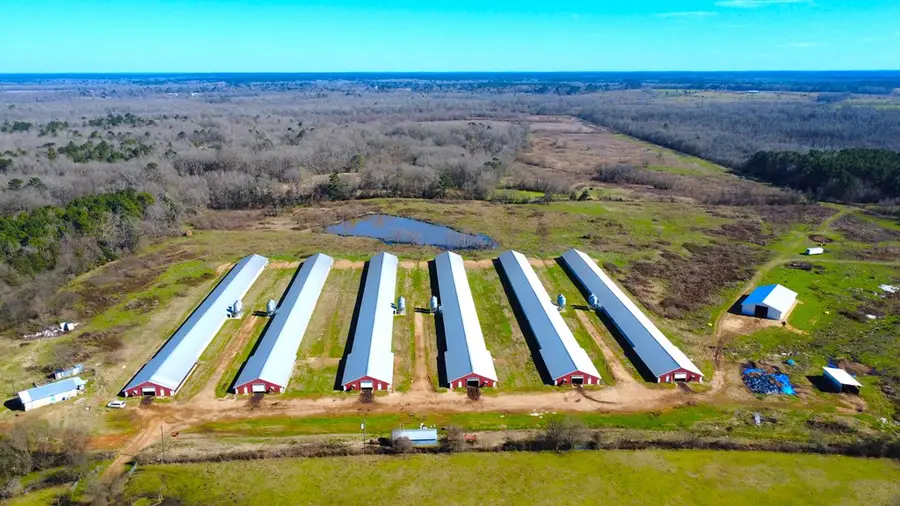 PID # 632969 Cr 3085, Center, TX 75935 - #3