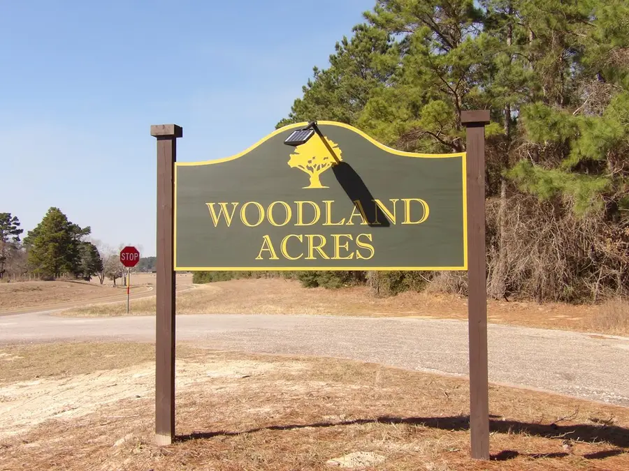 PARCEL #33827 Lake Shore Drive, Grapeland, TX 75844 - #2