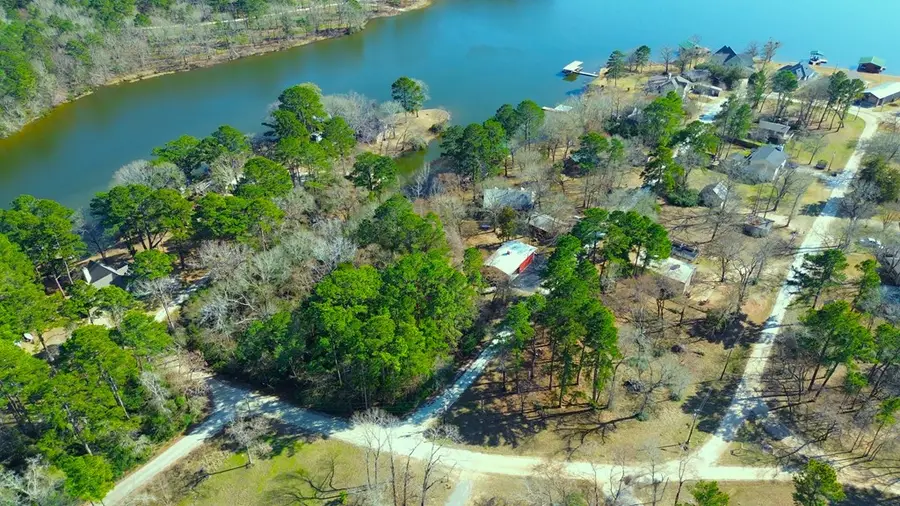 PARCEL #33827 Lake Shore Drive, Grapeland, TX 75844 - #3