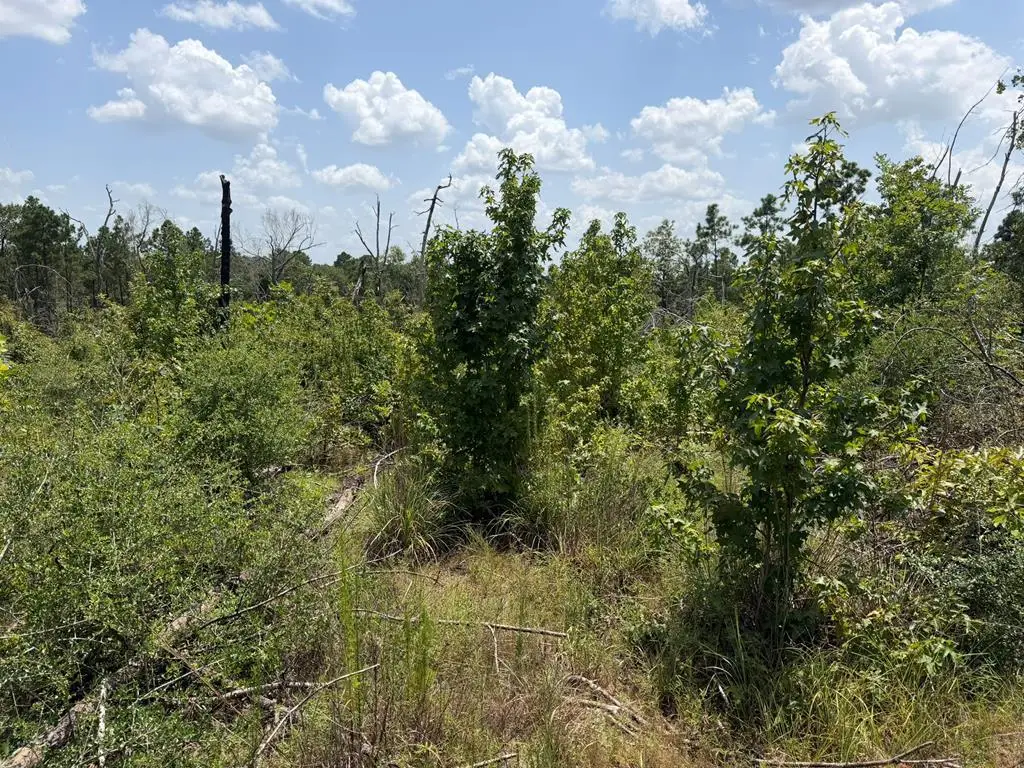 R63280 Pine Groves Road, Corrigan, TX 75939 - #1