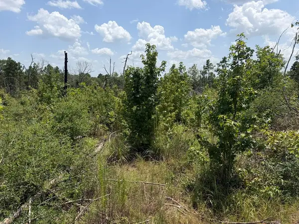 R63280 Pine Groves Road, Corrigan, TX 75939