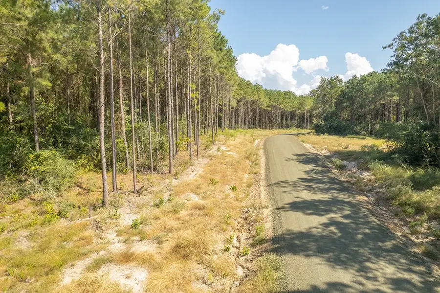 28125 Lot 100 Fm 705, Broaddus, TX 75972 - #2