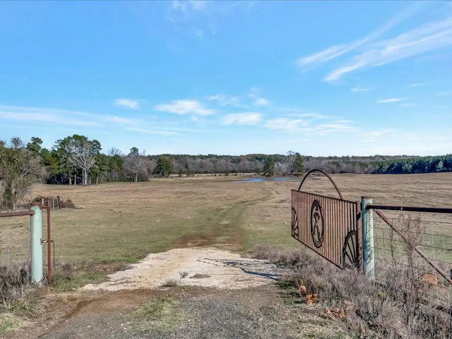 1508 Rosevine Road, San Augustine, TX 75972 - #3
