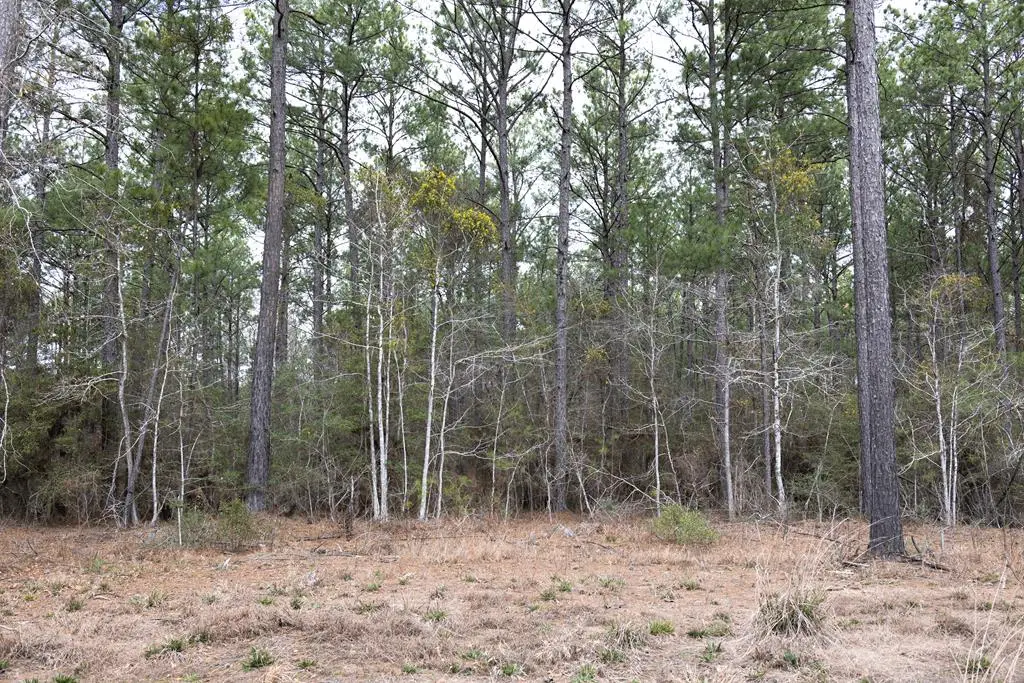28125 Tract 35 Fm 705, Broaddus, TX 75929 - #1