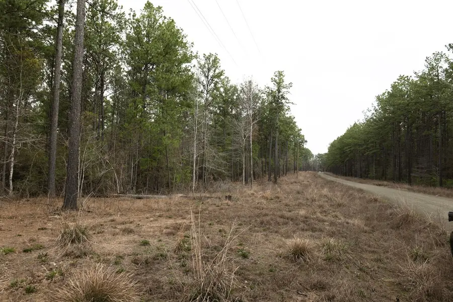 28125 Tract 35 Fm 705, Broaddus, TX 75929 - #2