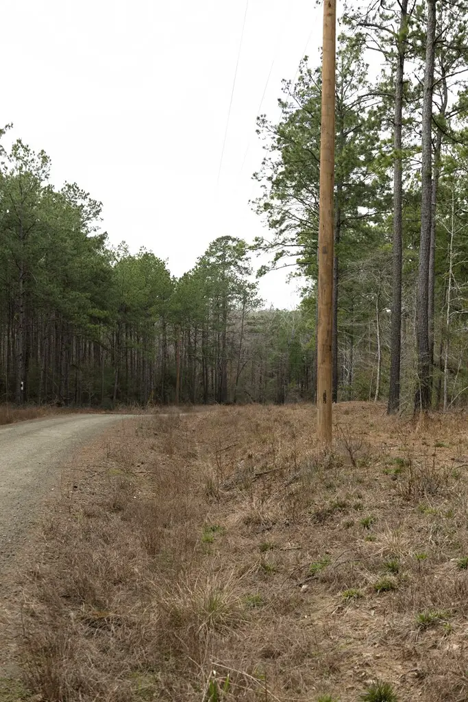 28125 Tract 35 Fm 705, Broaddus, TX 75929 - #3