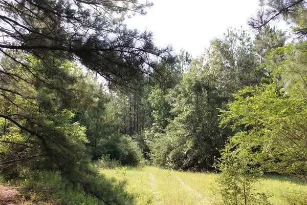 PID 36982 Ben Dunn Road, Lufkin, TX 75901