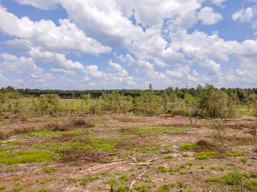 R53358 Hwy 94, Apple Springs, TX 75926 - #3