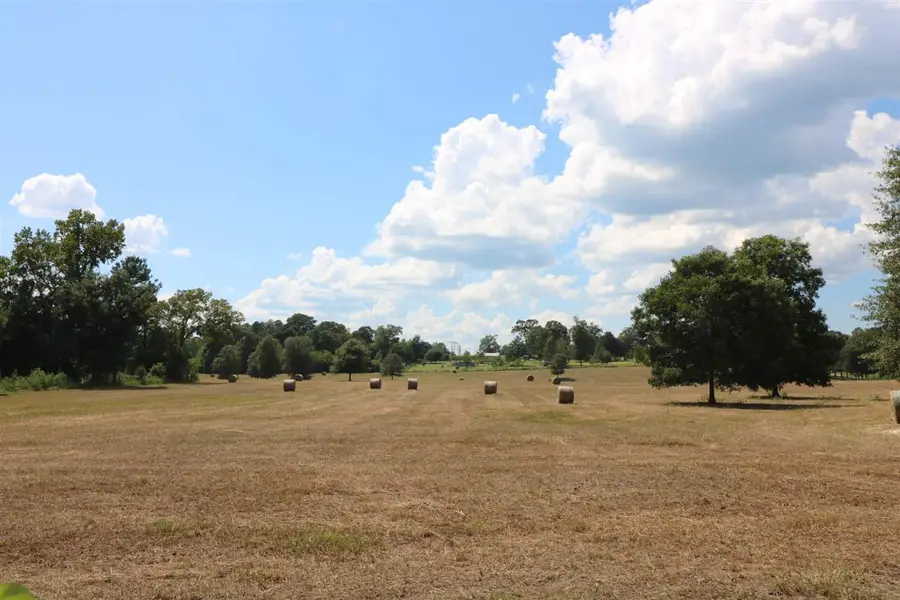 AB 2 John Bevil Burch Street, Jasper, TX 75951 - #2