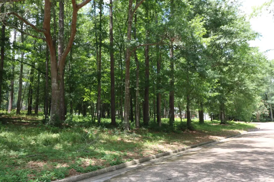 Lot 103 Hunterwood Drive, Jasper, TX 75951 - #3
