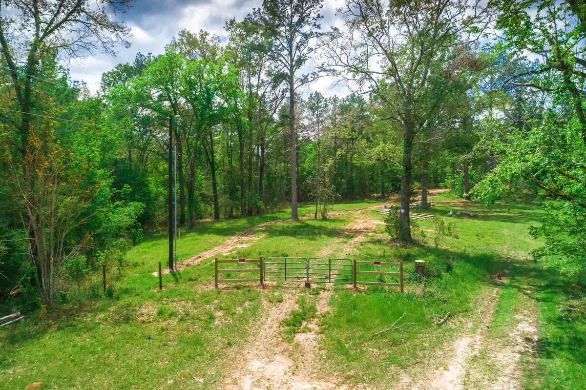 3659 Co Rd 1022, Newton, TX 75966 - #1