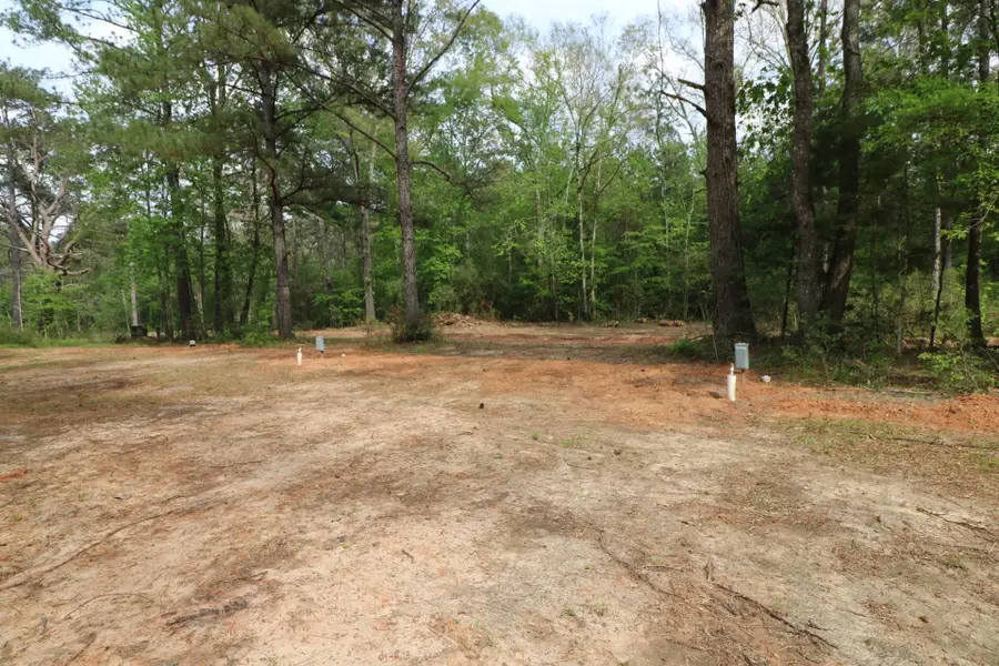 3659 Co Rd 1022, Newton, TX 75966 - #3