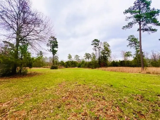451 Old Tejas Trail East, Hemphill, TX 75948 - #1