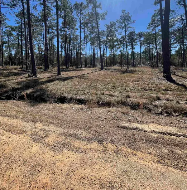 Tract 1-7 Pr 6028, Brookeland, TX 75931