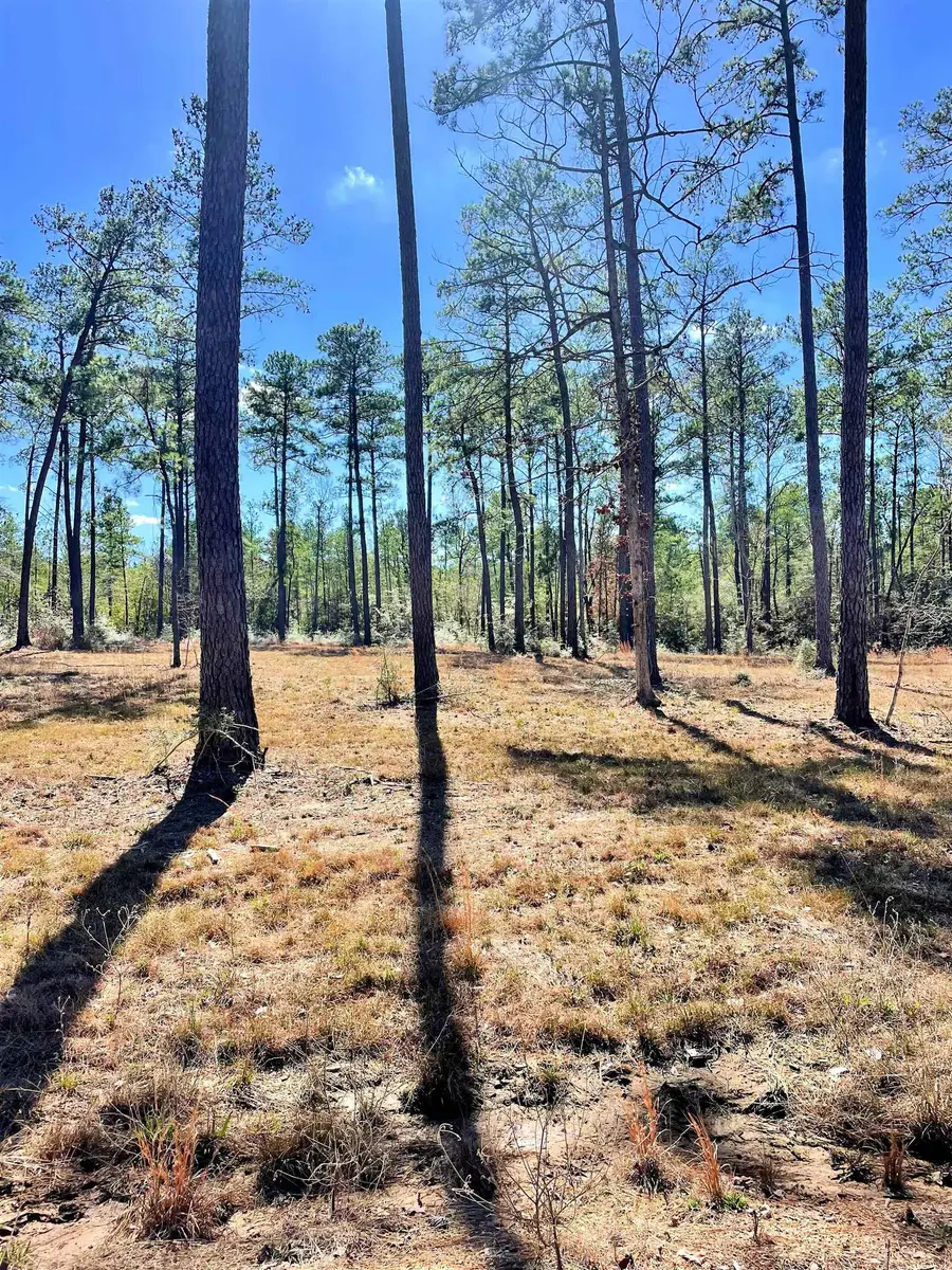 Tract 1-7 Pr 6028, Brookeland, TX 75931 - #2
