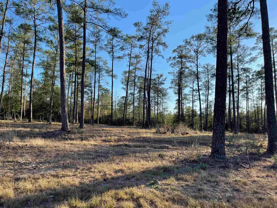 Tract 1-5 Private Rd 6028, Brookeland, TX 75931 - #2
