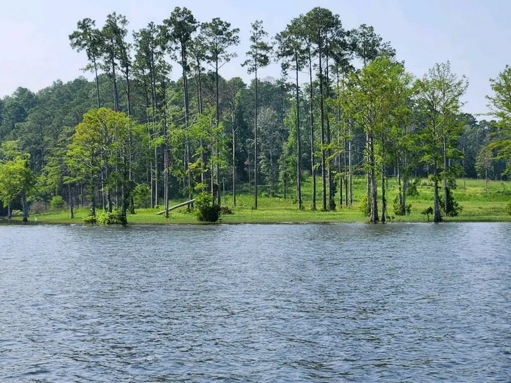 02 Cr 2178, Burkeville, TX 75932 - #1