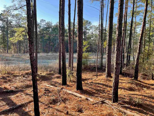 Tract 1-90 Private Rd 6028, Brookeland, TX 75931