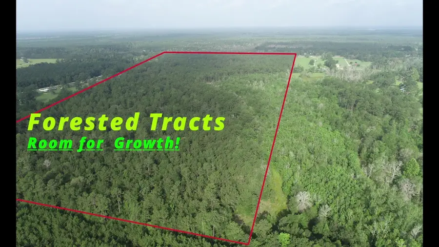 6800 Private Rd 8235, Buna, TX 77612 - #3