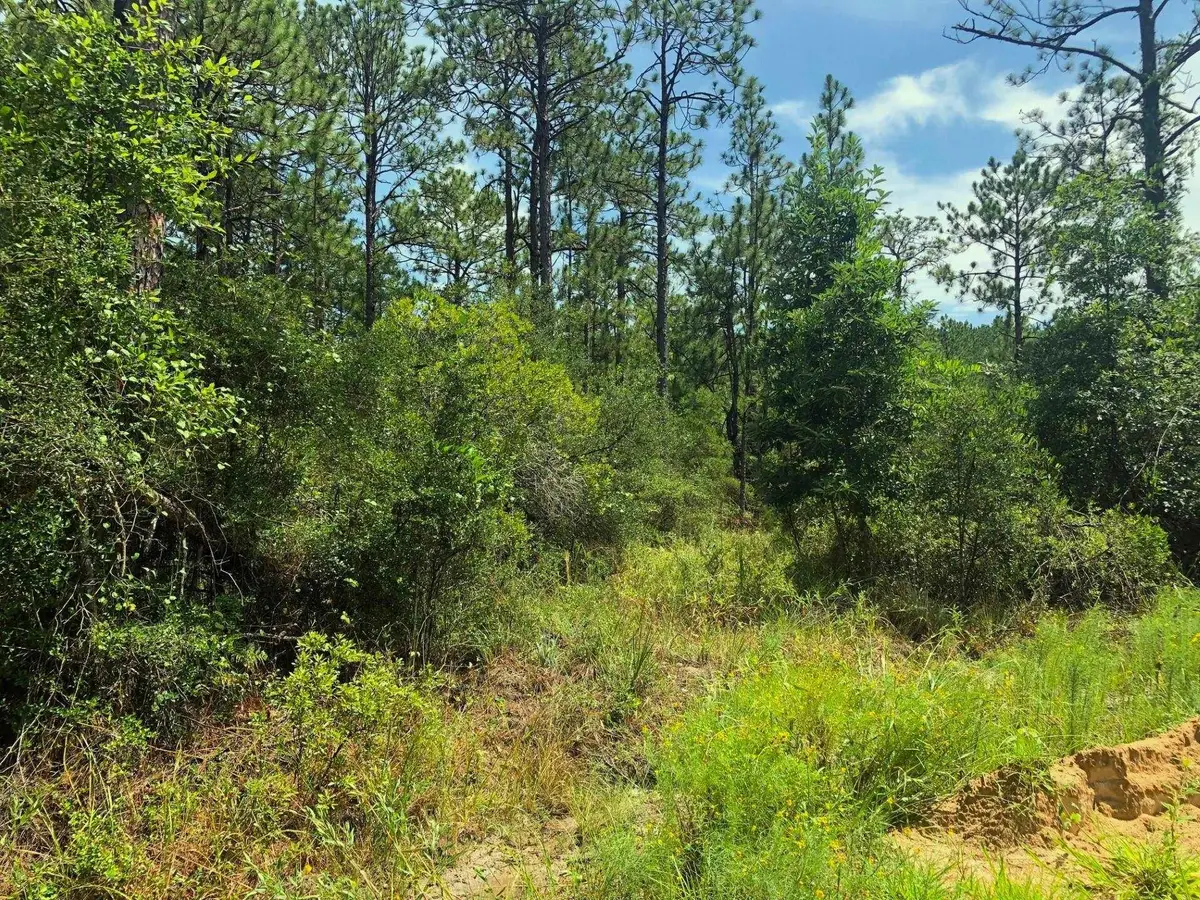 275 Tamarack Drive, Brookeland, TX 75931 - #1