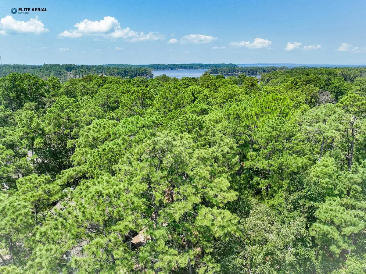 254 Senita Drive, Brookeland, TX 75931 - #1