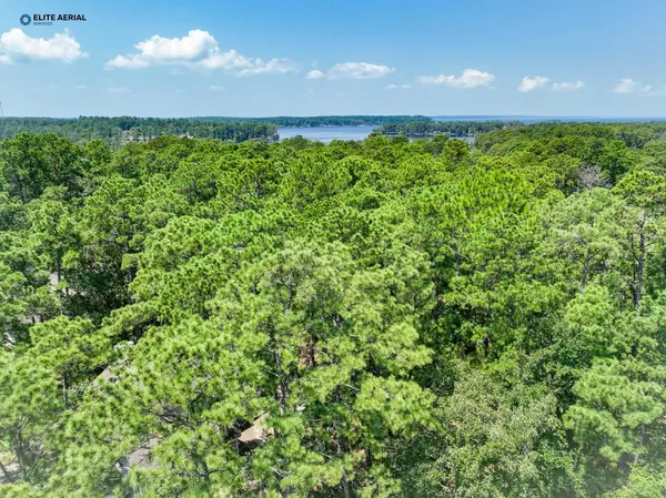 254 Senita Drive, Brookeland, TX 75931