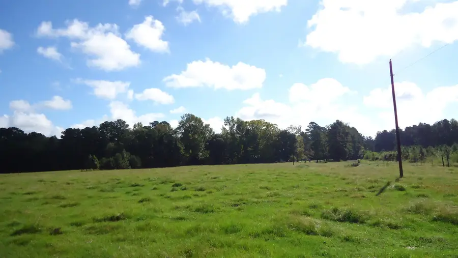 3334 Housen Hollow, Bronson, TX 75930 - #3