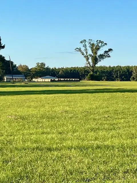 6055 Co Rd 2001, Newton, TX 75966