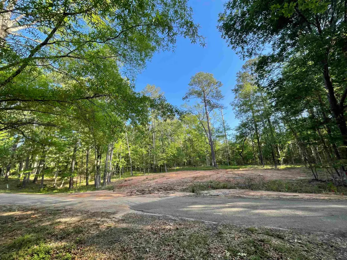 179 Woodsedge Drive, Brookeland, TX 75931 - #1